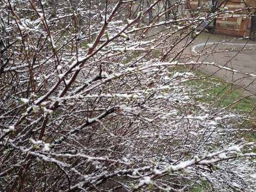 Сніг зупинив Харків 