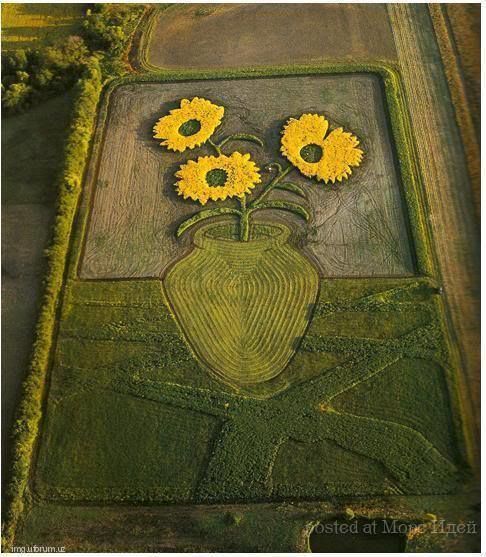 Лети и смотри: американский фермер "рисует" картины на полях в 65 га - фотофакт
