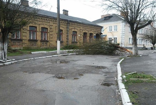 Во Львове падали деревья, а в Хмельницком пронеслась песчаная буря