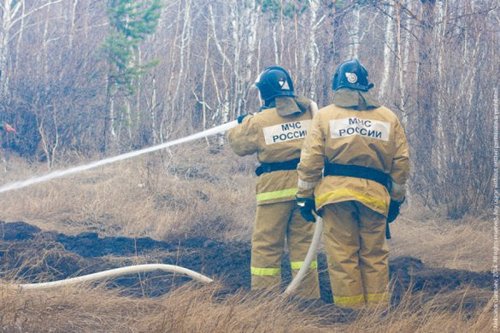 Число жертв лесных пожаров в Забайкалье возросло до четырех 