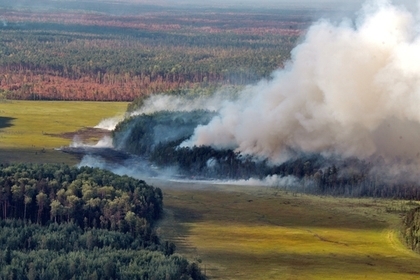Площадь лесных пожаров в Сибири увеличилась за сутки на 10 тысяч гектаров