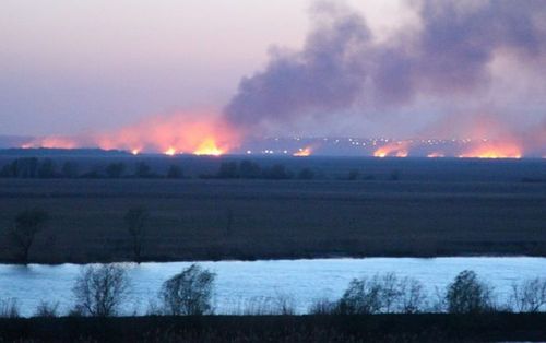 В национальном заповеднике под Одессой произошел масштабный пожар