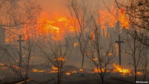 У Дагестані горів ліс, пожежу локалізували