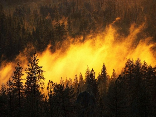 Пожары в России: продолжает гореть Бурятия