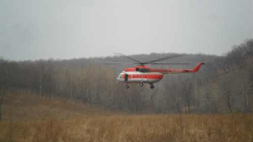 “Амурская авиабаза” спасателей попалась на организации пожара в Забайкалье? 