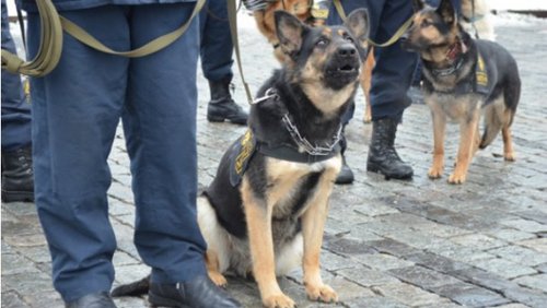 Правоохоронці шукали вибухівку в торговому центрі в Києві