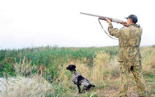 В Украине существенно выросли штрафы за браконьерство