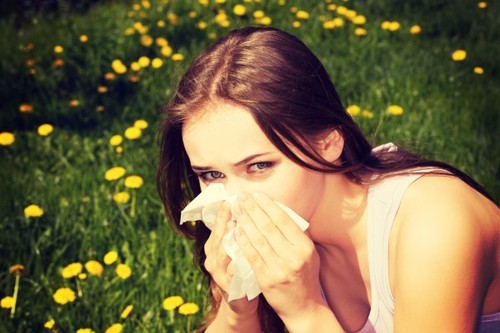Наиболее распространенные мифы о лечении аллергии антигистаминными препаратами