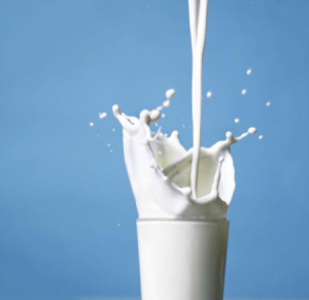 Антимонопольный комитет проверит цены на молоко