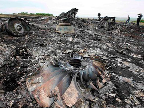 Голландцы готовят два доклада по сбитому самолету MH17