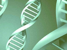 Ученые: свинец может оказывать свое воздействие на гены человека на протяжении всей жизни