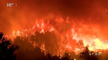 В Хорватії лютують лісові пожежі