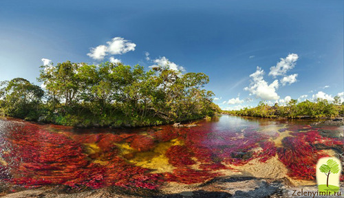 Каньо-Кристалес или река пяти цветов — самая красивая река в мире