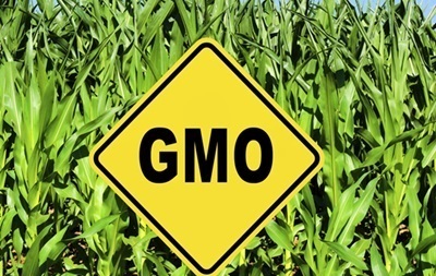 Германия намерена запретить сельхозпродукты с ГМО