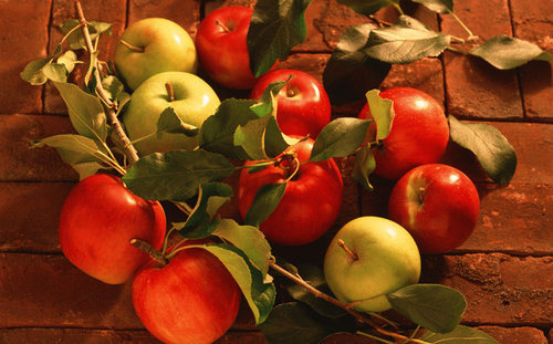 11 фактов о яблоках, о которых вы не знали