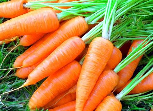 Неизвестные полезные свойства моркови