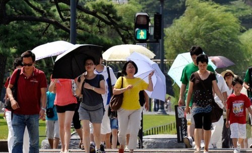 В Японии из-за жары умерли 25 человек, более 10 тыс. госпитализированы