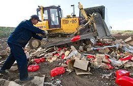 За один день в России задержали около 500 тонн санкционных продуктов, подлежащих уничтожению