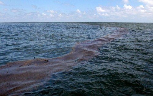 Вблизи Мариуполя турецкое судно разлило нефтепродукты в Азовское море