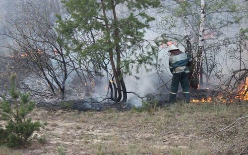 В Чернобыльской пуще нашли новый очаг возгорания