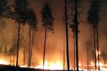 В Бурятии горит 80 тыс. га леса