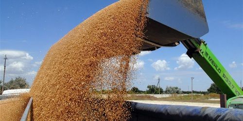 Абромавичус: Из Государственного резерва Украины куда-то пропали 250 тысяч тонн зерна