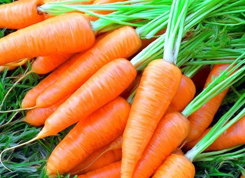 Почему стоит есть морковку каждый день
