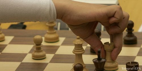 Украинские гроссмейстеры удачно стартовали в Баку