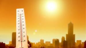 Ближайшие два года станут самыми жаркими на Земле