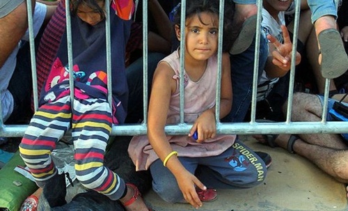 Власти Венгрии ввели чрезвычайное положение из-за мигрантов  