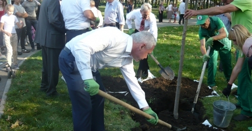 У парку Горького висадили дерево дружби між Харковом і Нюрнбергом