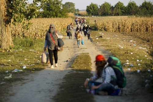 Европа решает миграционную проблему на саммите и подключает резервы для помощи беженцам