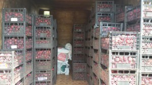 СБУ перехопила три тонни ковбаси для бойовиків 