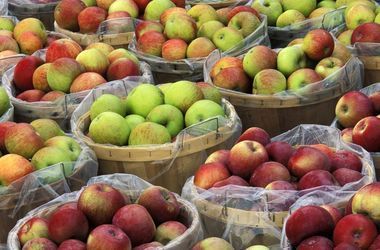 Харьковчанину грозит 3 года за кражу яблок
