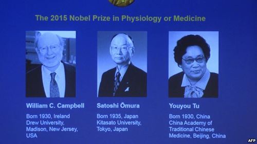 Нобелівську премію з медицини 2015 року присудили за вивчення паразитарних хвороб