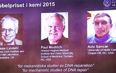 Нобелевскую премию по химии между собой разделили швед и два американца