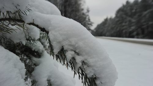 Не ждали, а в Карпатах выпал первый снег (ВИДЕО)