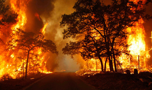 В американському штаті Техас вирує вогняна стихія 