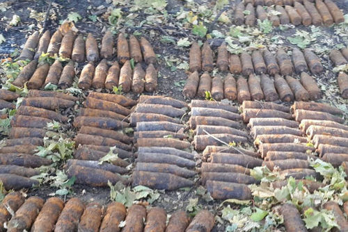 В Харьковском районе обнаружили заминированную лесополосу