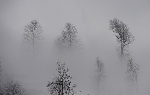 Синоптики прогнозируют туманную погоду в Украине