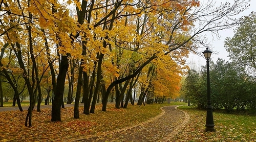 Погода в Украине, 28 октября