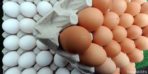 Полезные свойства обычных яиц