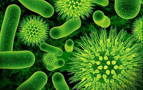 Антибиотики сделали сильнее против устойчивых бактерий