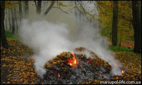 Харьковские пожары из-за сжигания листьев и сухостоя