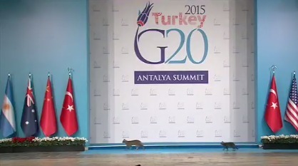 Кошки стали звездами саммита «Большой двадцатки»