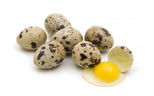  Польза перепелиных яиц для здоровья