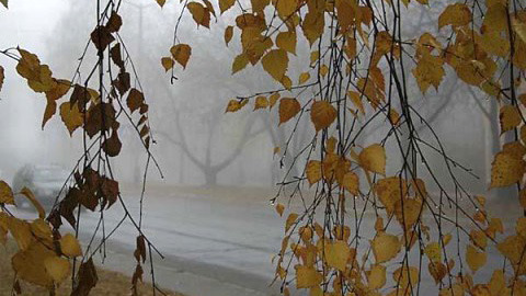 Погода в Украине, 25 ноября