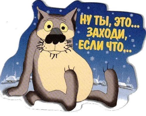 Пес Про Новый Год