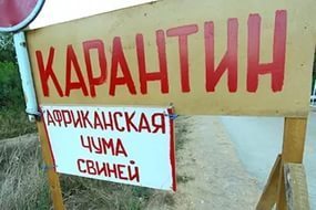 В 7 областях Украины продолжается карантин из-за АЧС
