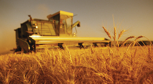  ВРУ приняла закон, который позволит существенно сократить расходы аграриям